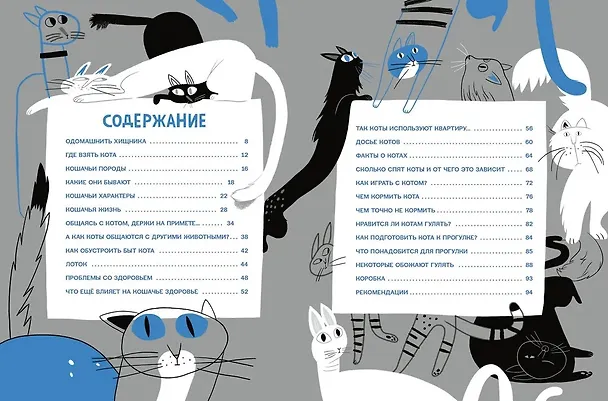 Книга Твои коты (Екатерина Климова) — 3