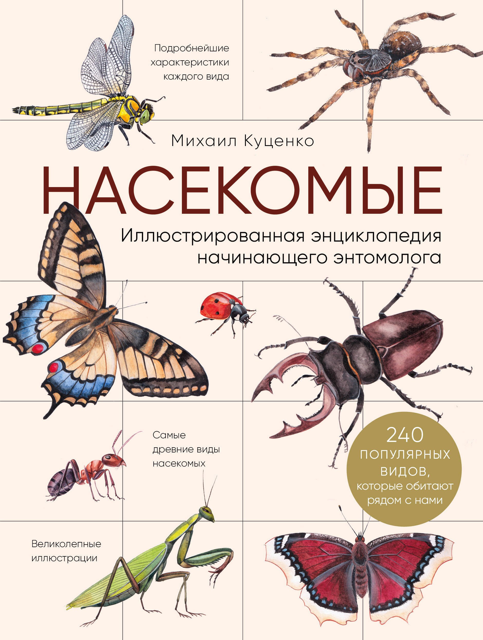 Насекомые. Иллюстрированная энциклопедия начинающего энтомолога