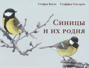 Синицы и их родня — 2640146 — 1