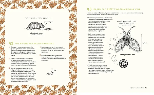 Книга Может ли лошадь решать уравнения? И ещё 320 вопросов о животных (Матильда Мастерс) — 5