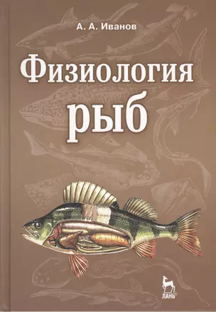 Физиология рыб: Учебное пособие. 2-е изд., стер. — 2368476 — 1