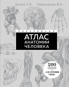 Популярный атлас анатомии человека. Анатомия Грея. 200 классических иллюстраций