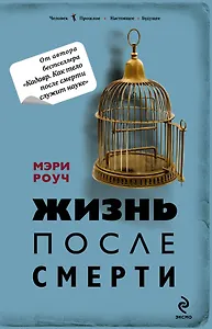 Жизнь после смерти