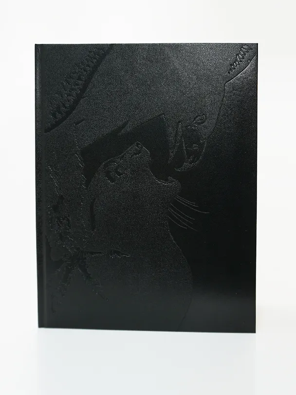 Глаза кошки 3083081 — 14