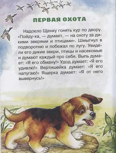 Книга Лис и Мышонок. Сказки (Виталий Бианки) — 11