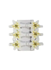 Набор Прищепки декор Садовые цветы микс (124442) (6шт) (упаковка)