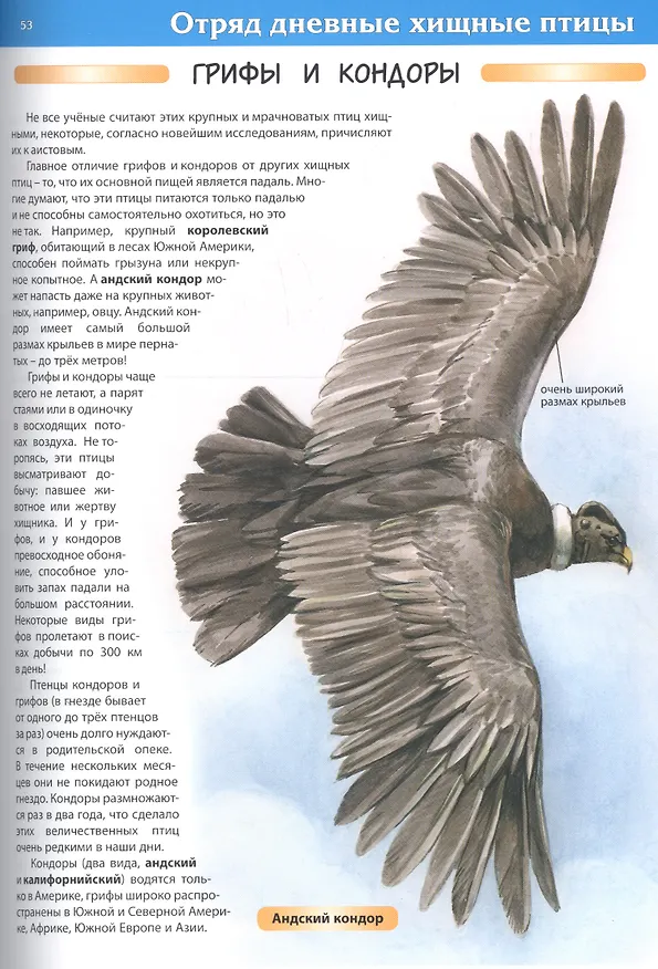 Книга Большая энциклопедия животного мира (С. Рублев) — 9