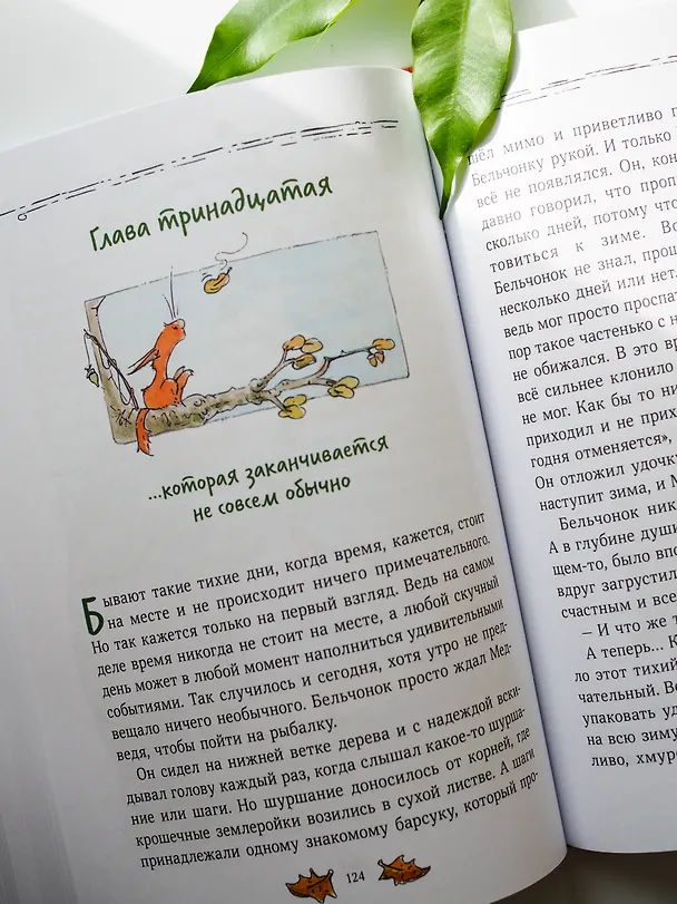 Книга Бельчонок, Медведь и охапка приключений. Повесть (Андреас Х. Шмахтл) — 12