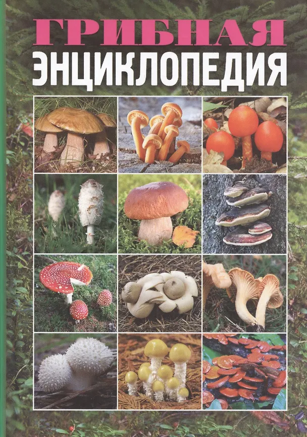 Книга Грибная энциклопедия (Татьяна Лагутина) — 1