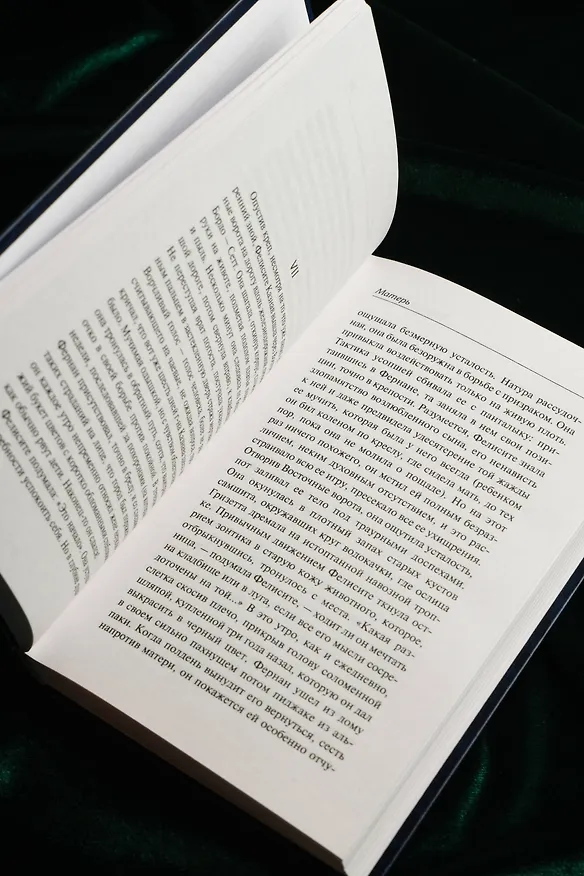 Книга Матерь. Пустыня любви (Франсуа Мориак) — 14