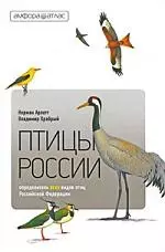 Птицы России: Справочник-определитель — 2213097 — 1