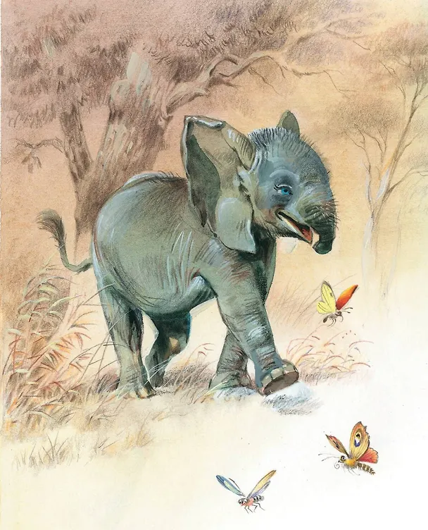 Книга Сказки (ил. В. Канивца) (Редьярд Киплинг) — 6