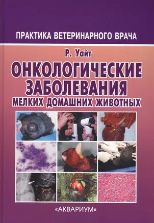Онкологические заболевания мелких домашних животных — 2500861 — 1