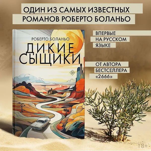 Книга Дикие сыщики (Роберто Боланьо) — 5