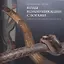 Коды коммуникации с богами. Мифология и ритуальная пластика айнов — 2752315 — 1