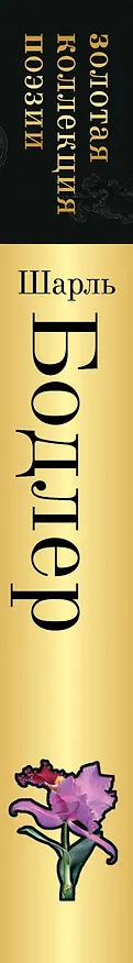 Книга Цветы зла (Шарль Бодлер) — 3