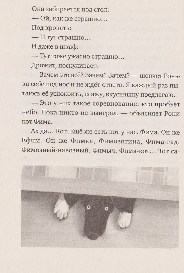 Книга У кота была собака (Анастасия Шанская) — 5