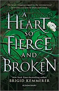 A Heart So Fierce and Broken