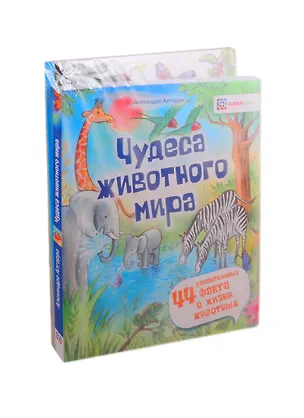 Книга Чудеса животного мира для любознательных детей (комплект из 4 книг) ()