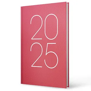 Ежедневник дат. 2025г. А5 160л "Soft Touch" ламинация, красный, 7БЦ, офсет