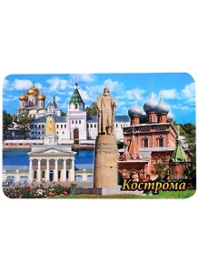 Магнит Кострома Памятник И. Сусанину Коллаж (винил)