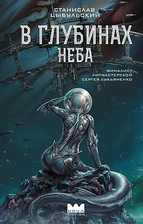 Книга В глубинах неба (Станислав Цыбульский)