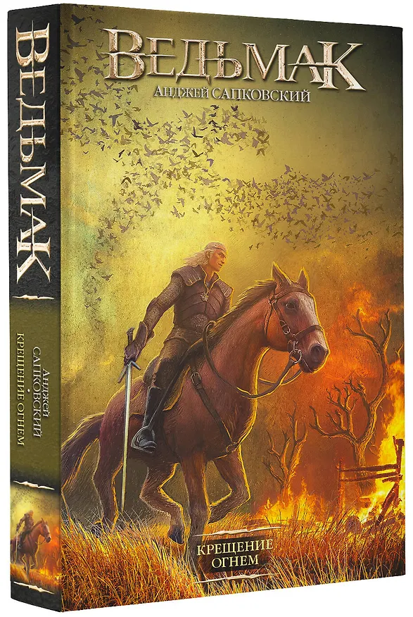 Книга Крещение огнем (Анджей Сапковский) — 4