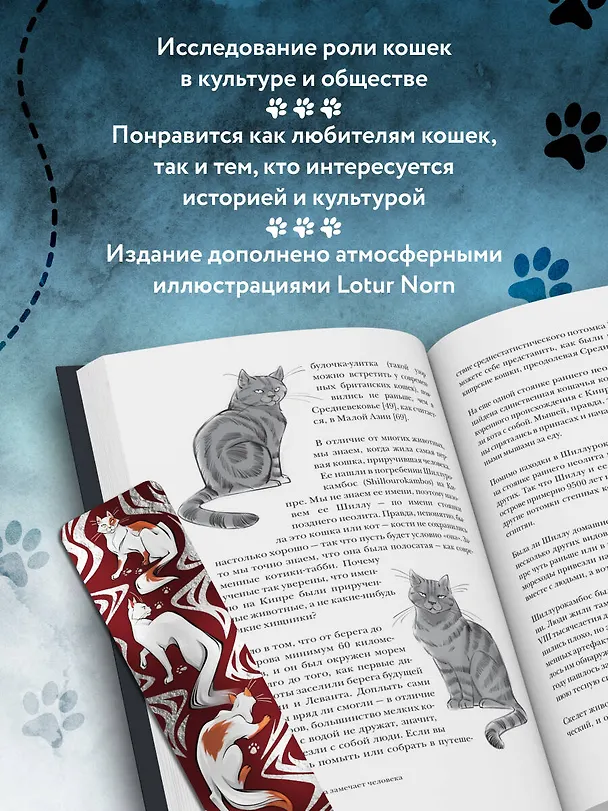 Книга Котики в мировой культуре. Как котики проникли не только в наши дома и сердца, но и в наши сны, сказки и заклинания (книга+закладка) (Анна Гребенникова) — 8