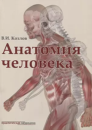 Анатомия человека: учебник — 2636524 — 1