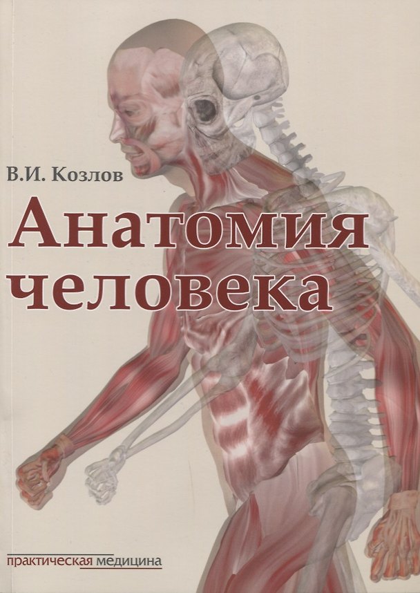 Книга Анатомия человека: учебник (Валентин Козлов) — 1