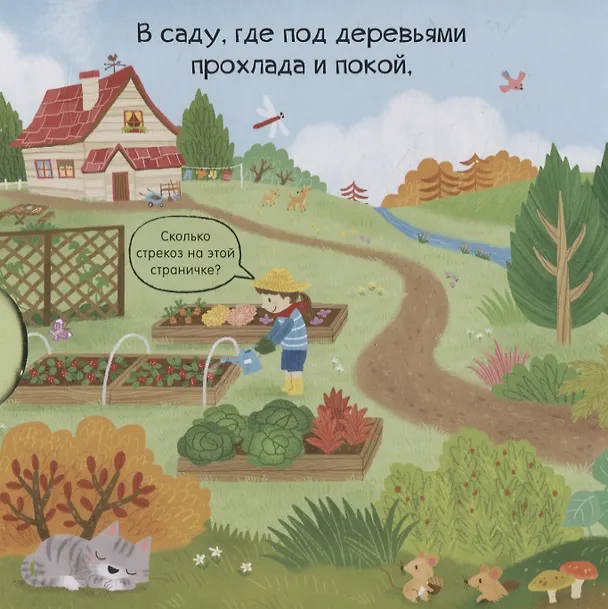 Книга Волшебные феи () — 2
