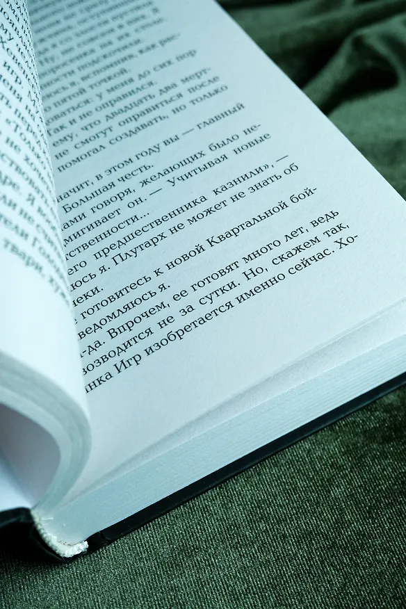 Книга И вспыхнет пламя (Сьюзен Коллинз) — 12