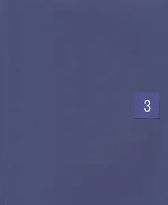 История российского видеоарта Т.3 (рус./англ. яз.) (м) Джеуза