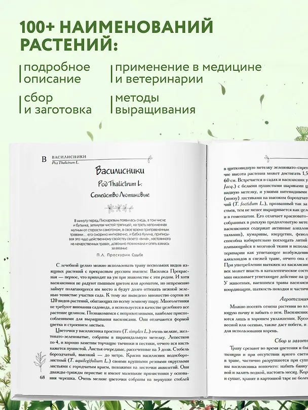 Книга Аптечный огород. Справочник по сбору, хранению и применению целебных растений (новое оформление) (Татьяна Ильина) — 6