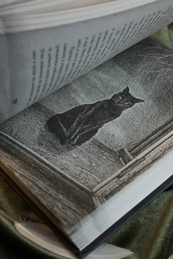 Книга Сорочье гнездо (Ольга Пустошинская) — 17