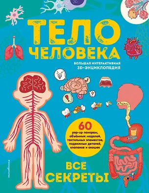 Книга Тело человека. Все секреты. Большая интерактивная 3D-энциклопедия ()