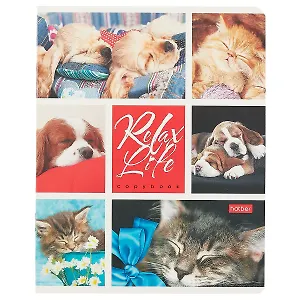 Тетрадь в клетку Hatber, Relax Life, 24 листа, в ассортименте