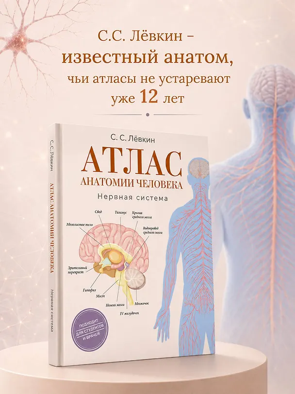 Книга Атлас анатомии человека. Нервная система (Сергей Лёвкин) — 8