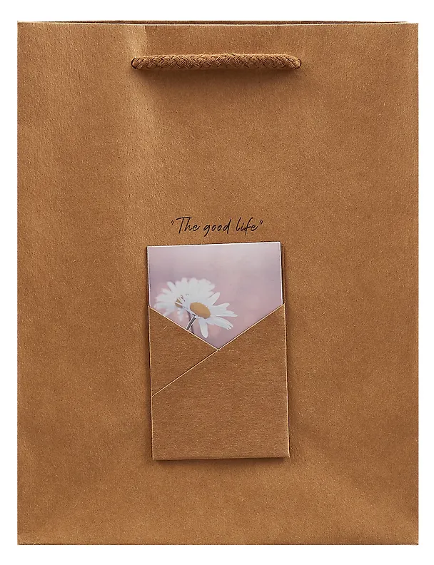 Пакет А5 23*18*10 "Envelope" нейтр., бум.мат 2981915 — 1