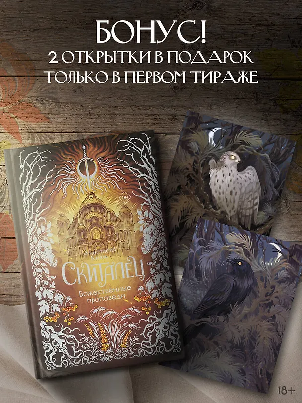 Книга Скиталец. Божественные проповеди (Анастасия Князь) — 6