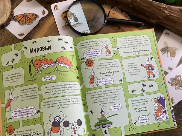 Книга Насекомые и не только. От шмелей до навозных жуков: все ползуче-летучие факты, рекорды и достижения (Нудл Фьюэл) — 11