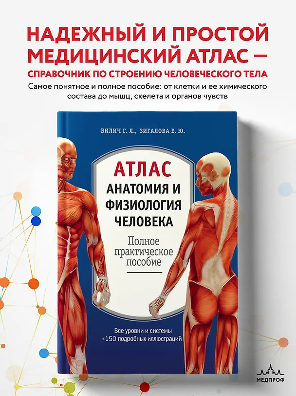 Книга Атлас. Анатомия и физиология человека: полное практическое пособие. 2-е издание, дополненное (Елена Зигалова, Габриэль Билич) — 5