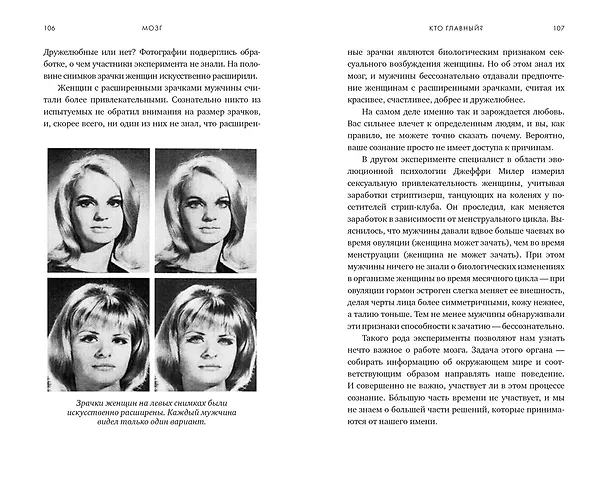 Книга Мозг. Ваша личная история (Дэвид Иглмен) — 14