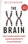 Xx brain — 2890131 — 1