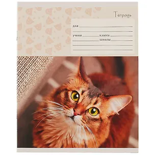 Тетрадь в линейку Unnika, "Мой котик", 24 листа, в ассортименте 251223