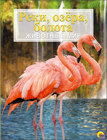 

Реки, озёра, болота. Животный мир