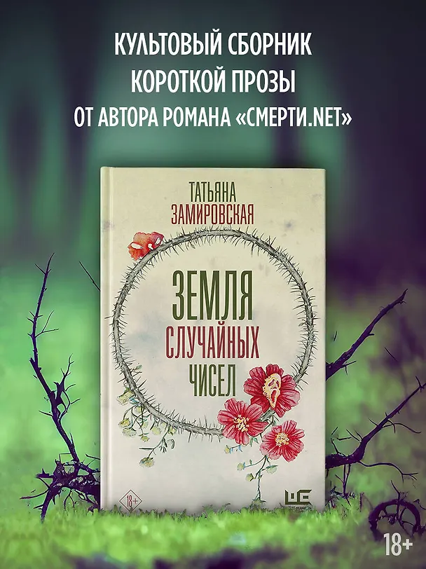 Книга Земля случайных чисел (Татьяна Замировская) — 6