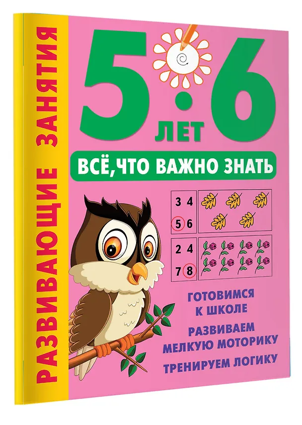 Книга Развивающие занятия. Всё, что важно знать. 5-6 лет (Валентина Дмитриева) — 4
