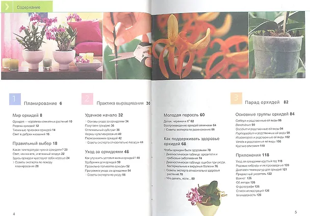 Книга Орхидеи () — 2