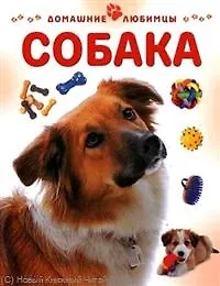 Собака / (мягк) (Домашние любимцы). Рейнер М. (Аст-Пресс)